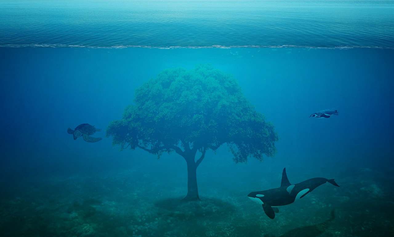 Download O Último Mergulho (2025) 1080p WEB-DL Dual Áudio Torrent Torrent